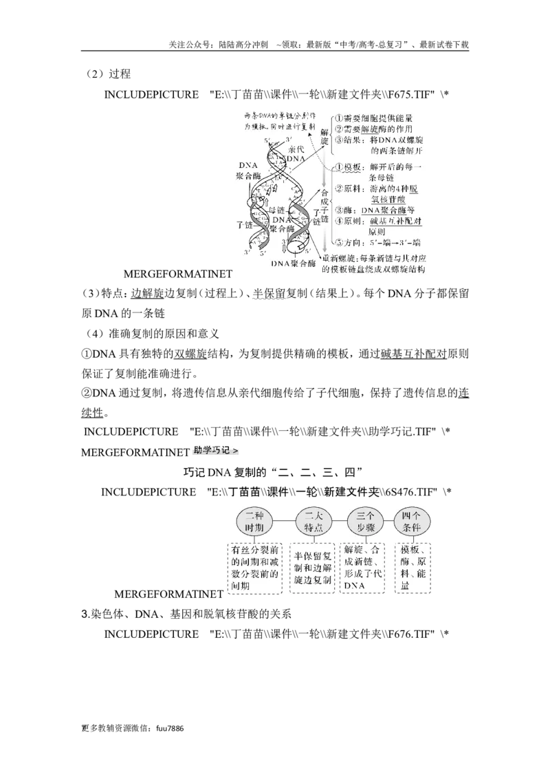 《第17讲DNA的结构、复制及基因的本质_06-生物-高考总复习_一轮复习_2024年_2024高考生物大一轮复习课件讲义新人教版知识总结_2024年高考生物一轮复习讲义（新人教版）_另赠1套Word版题库》第7页预览