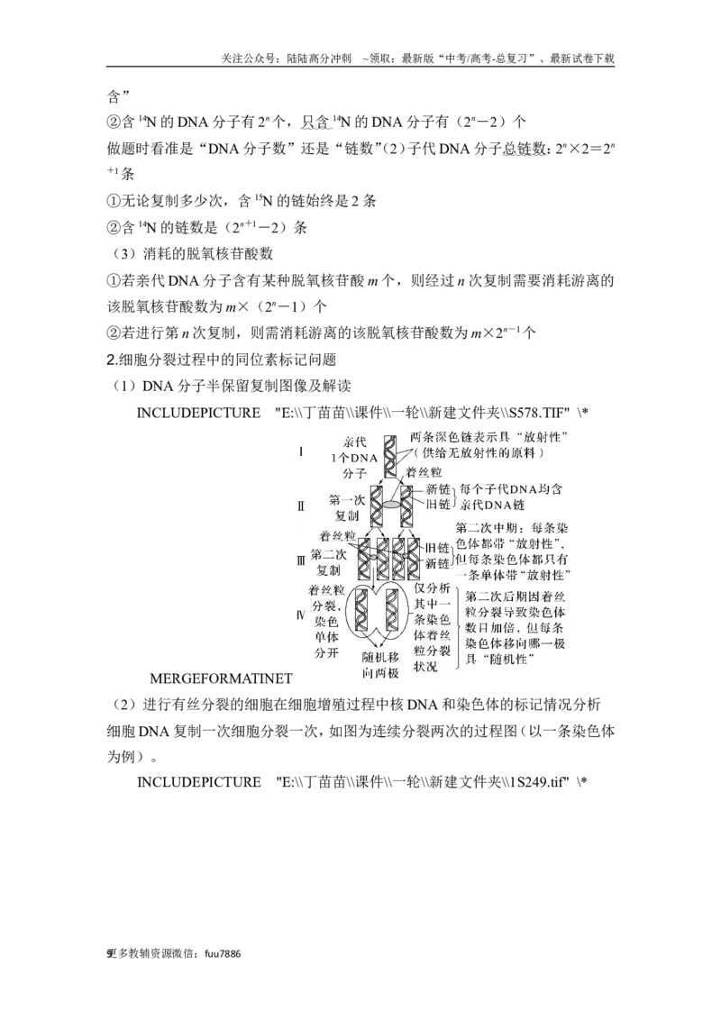 《第17讲DNA的结构、复制及基因的本质_06-生物-高考总复习_一轮复习_2024年_2024高考生物大一轮复习课件讲义新人教版知识总结_2024年高考生物一轮复习讲义（新人教版）_另赠1套Word版题库》第9页预览