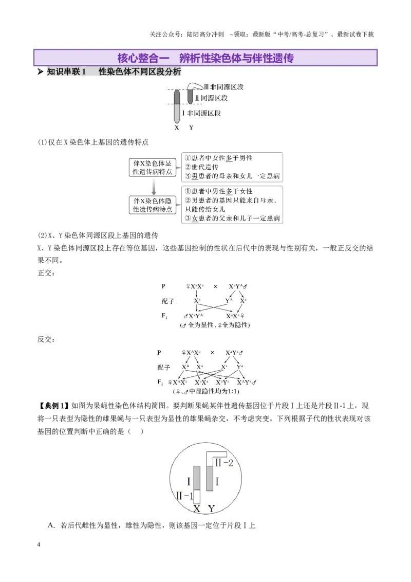 《第08讲伴性遗传和人类遗传病（讲义）（学生版）_06-生物-高考总复习_二轮复习_2025年_2025年高考生物二轮复习课件+讲义+练习（新高考通用）》第4页预览