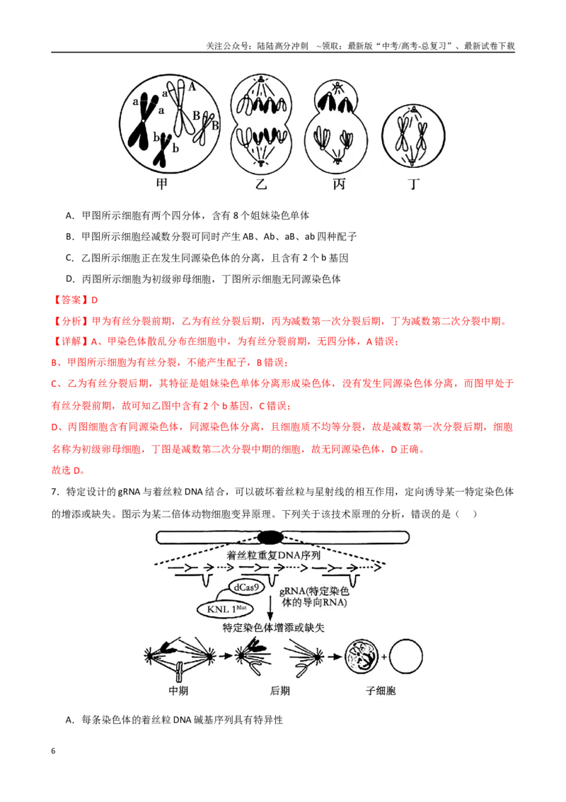 《生物（河北卷，13+5+5）（全解全析）_06-生物-高考总复习_一轮复习_2025年_2025年高考生物第一次模拟卷24套》第6页预览