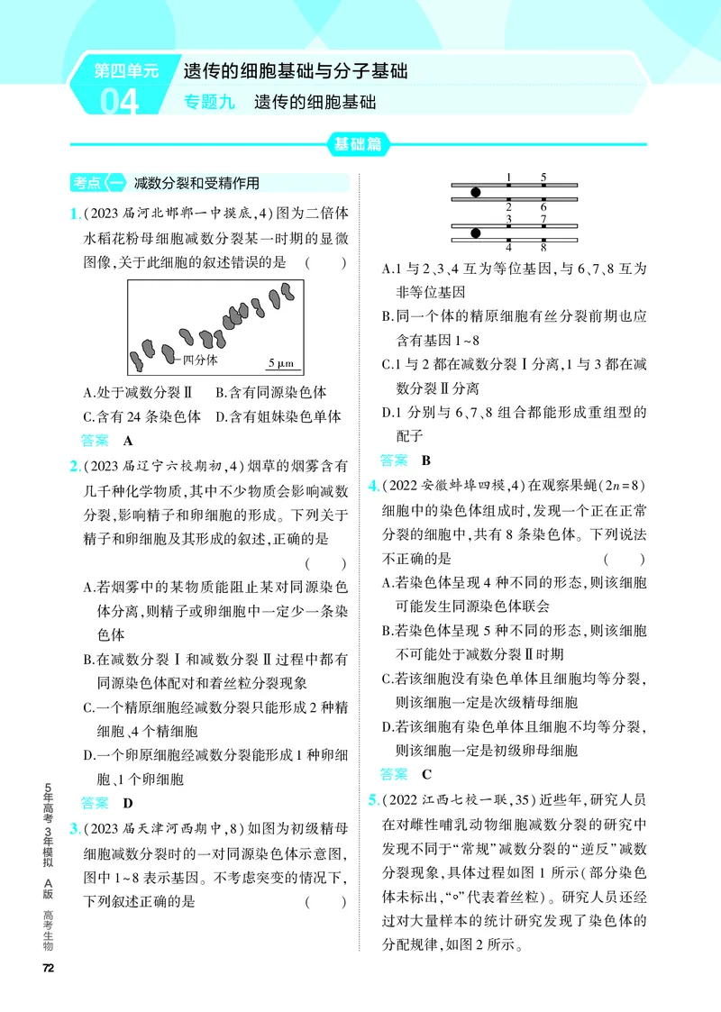 《1_09-专题九　遗传的细胞基础（教参电子书—分层集训）_2024版教学资源包_2024版.新高考版生物.5·3A版_9_专题九遗传的细胞基础_4_PDF教参电子书》第1页预览
