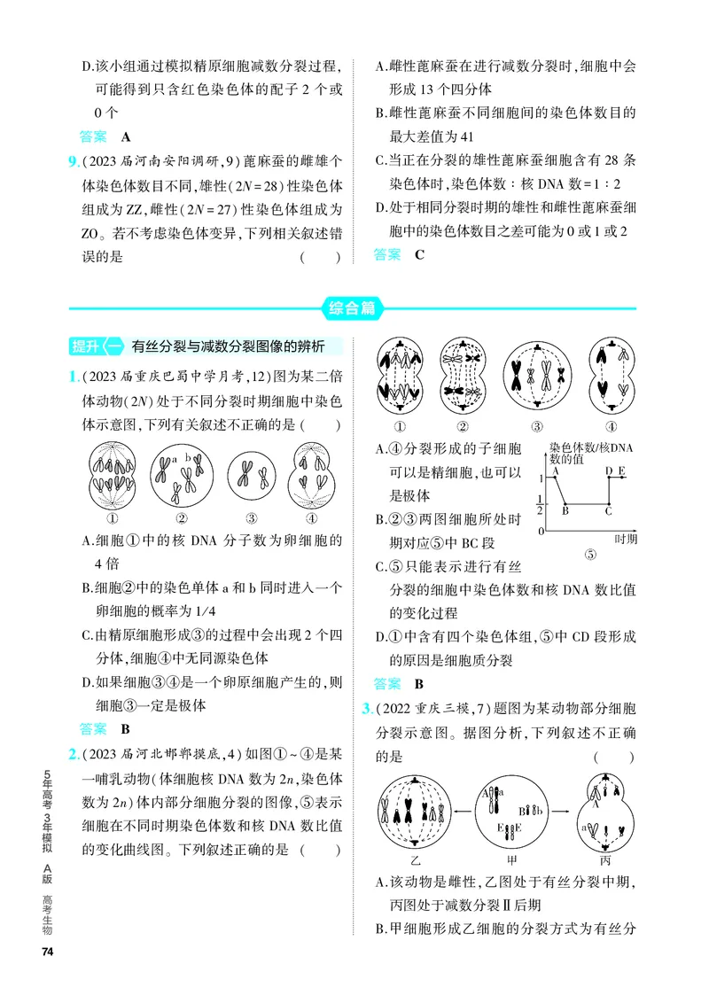 《1_09-专题九　遗传的细胞基础（教参电子书—分层集训）_2024版教学资源包_2024版.新高考版生物.5·3A版_9_专题九遗传的细胞基础_4_PDF教参电子书》第3页预览