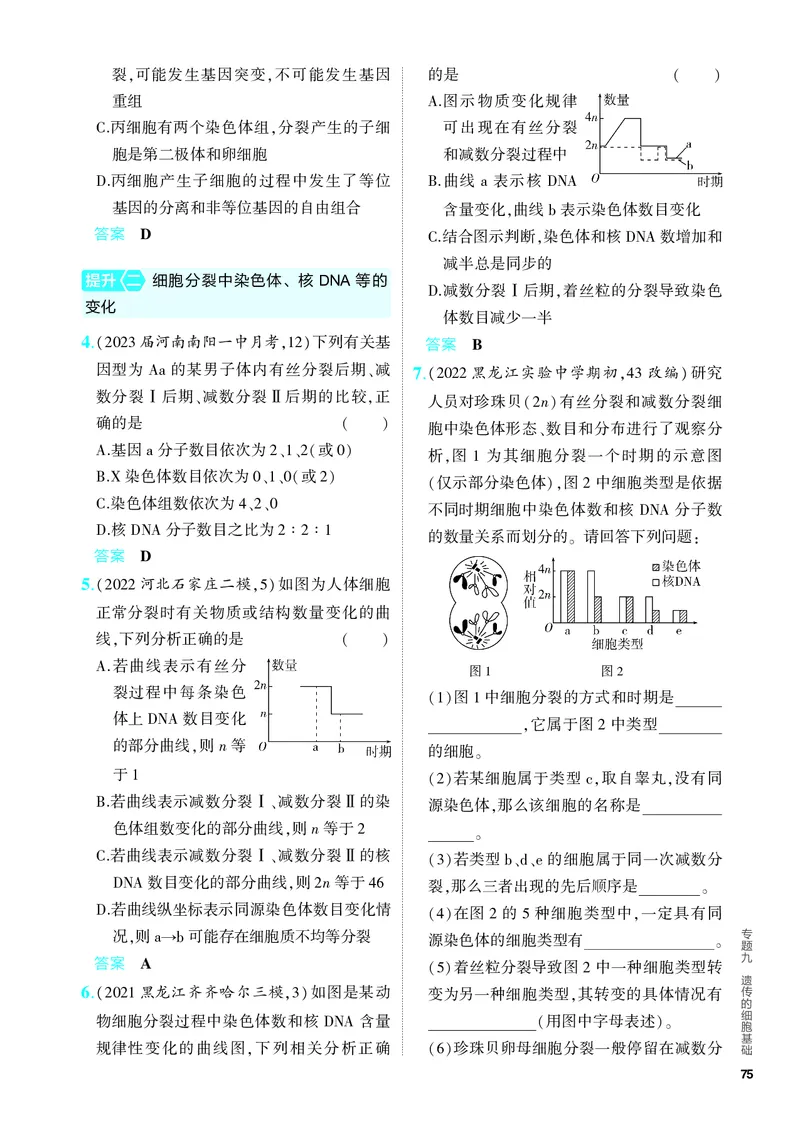《1_09-专题九　遗传的细胞基础（教参电子书—分层集训）_2024版教学资源包_2024版.新高考版生物.5·3A版_9_专题九遗传的细胞基础_4_PDF教参电子书》第4页预览