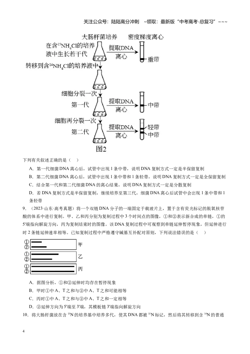 《第21讲DNA分子的结构、复制与基因的本质（专项训练）（安徽专用）（学生版）_06-生物-高考总复习_一轮复习_2026年-生物高考一轮复习_2026年高考生物一轮课件+讲义+练习（安徽专用）-G326》第4页预览