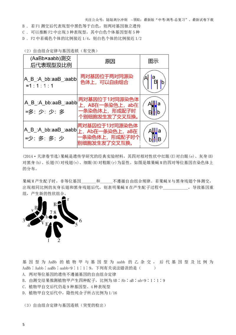 《第17.2讲基因的自由组合定律相关题型（讲义）（学生版）_06-生物-高考总复习_一轮复习_2024年_2024年高考生物一轮复习讲练测(课件+讲义+练习)（新高考）_讲义+练习》第5页预览