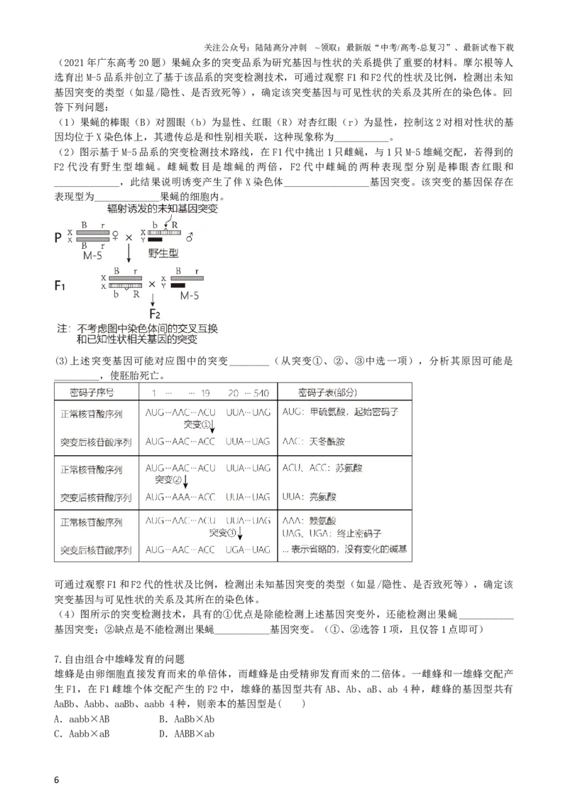 《第17.2讲基因的自由组合定律相关题型（讲义）（学生版）_06-生物-高考总复习_一轮复习_2024年_2024年高考生物一轮复习讲练测(课件+讲义+练习)（新高考）_讲义+练习》第6页预览