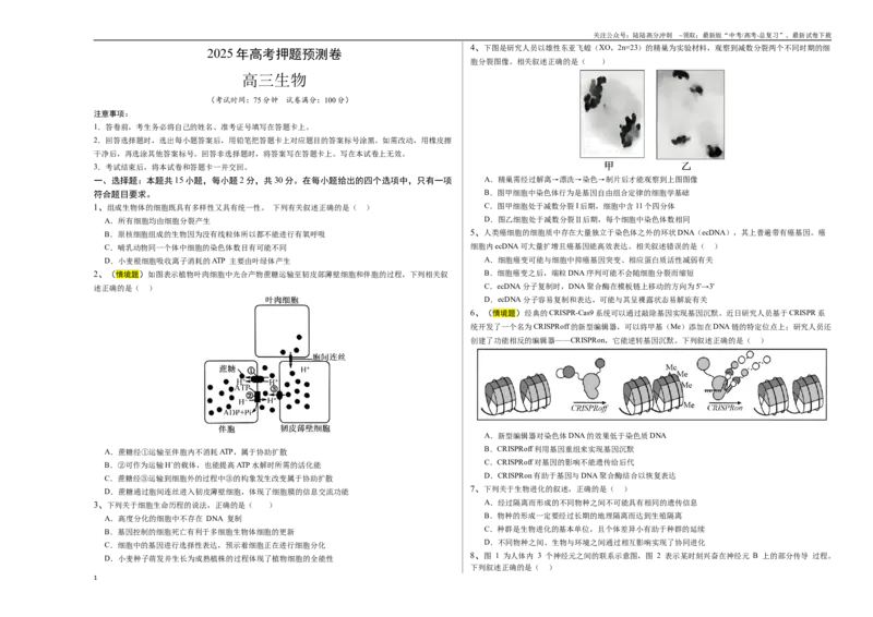 《生物（江苏卷01）（考试版A3）_06-生物-高考总复习_专项复习_2025年_2025年高考押题预测卷（多地区）生物》第1页预览