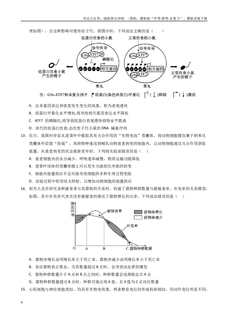 《生物（广西卷）（考试版）_06-生物-高考总复习_二轮复习_2025年_2025年高考生物第二次模拟卷26套_生物（广西卷）》第4页预览