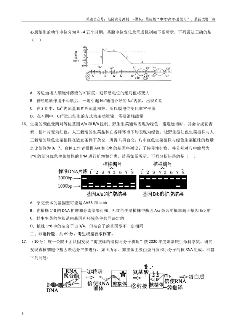 《生物（广西卷）（考试版）_06-生物-高考总复习_二轮复习_2025年_2025年高考生物第二次模拟卷26套_生物（广西卷）》第5页预览