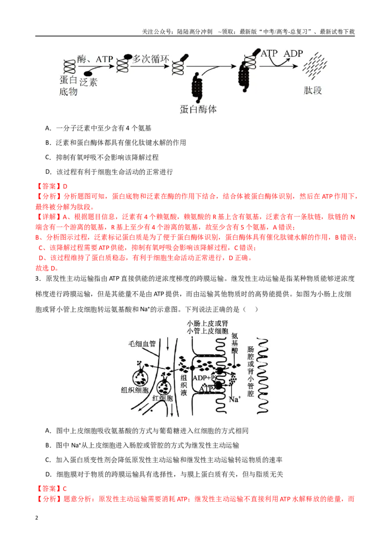 《生物（河北卷）（全解全析）_06-生物-高考总复习_专项复习_2025年_2025年高考第一二三次模拟卷（多地区）生物_2025年高考生物第三次模拟考试21套_生物（河北卷）》第2页预览