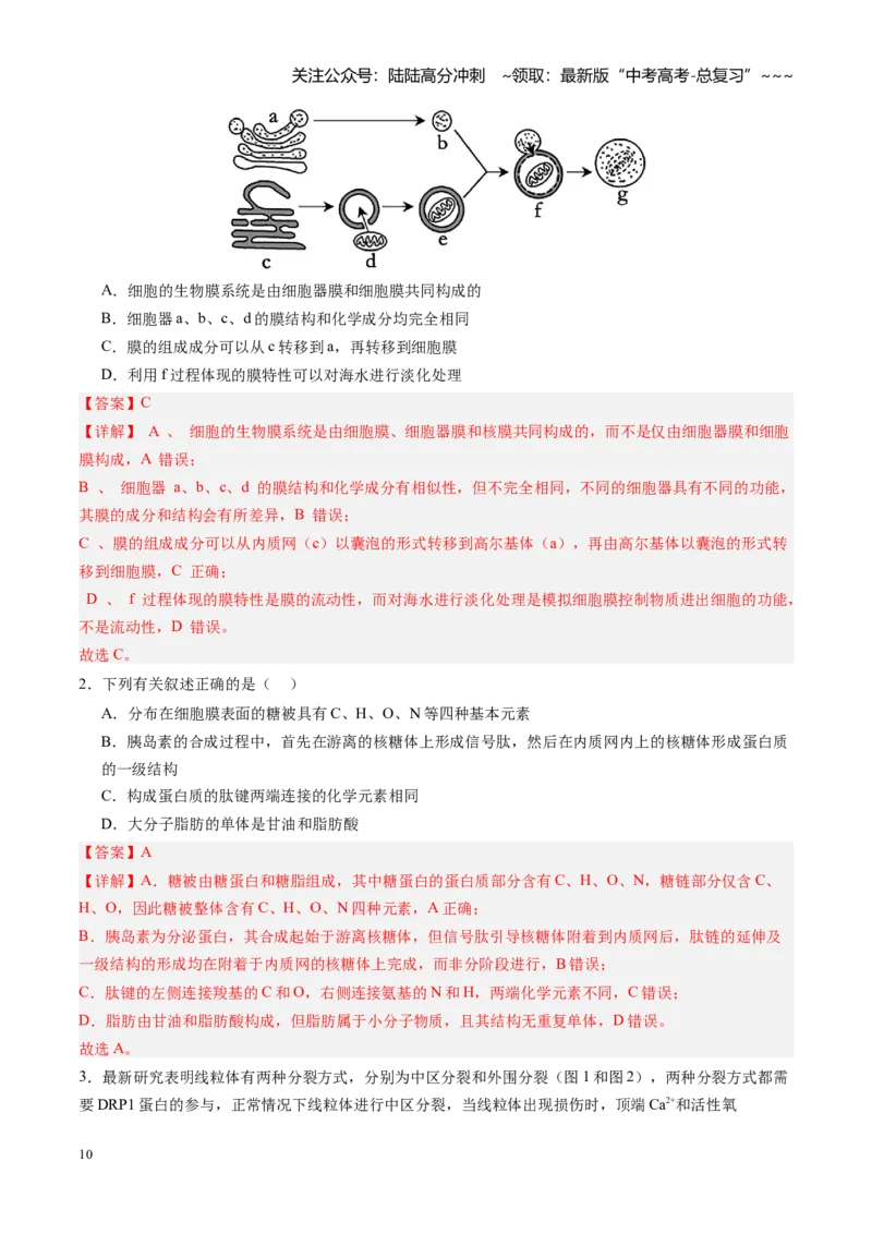 《第06讲细胞器和生物膜系统（专项训练）（四川专用）（教师版）_06-生物-高考总复习_一轮复习_2026年-生物高考一轮复习_2026年高考生物一轮课件+讲义+练习（四川专用）-G335》第10页预览