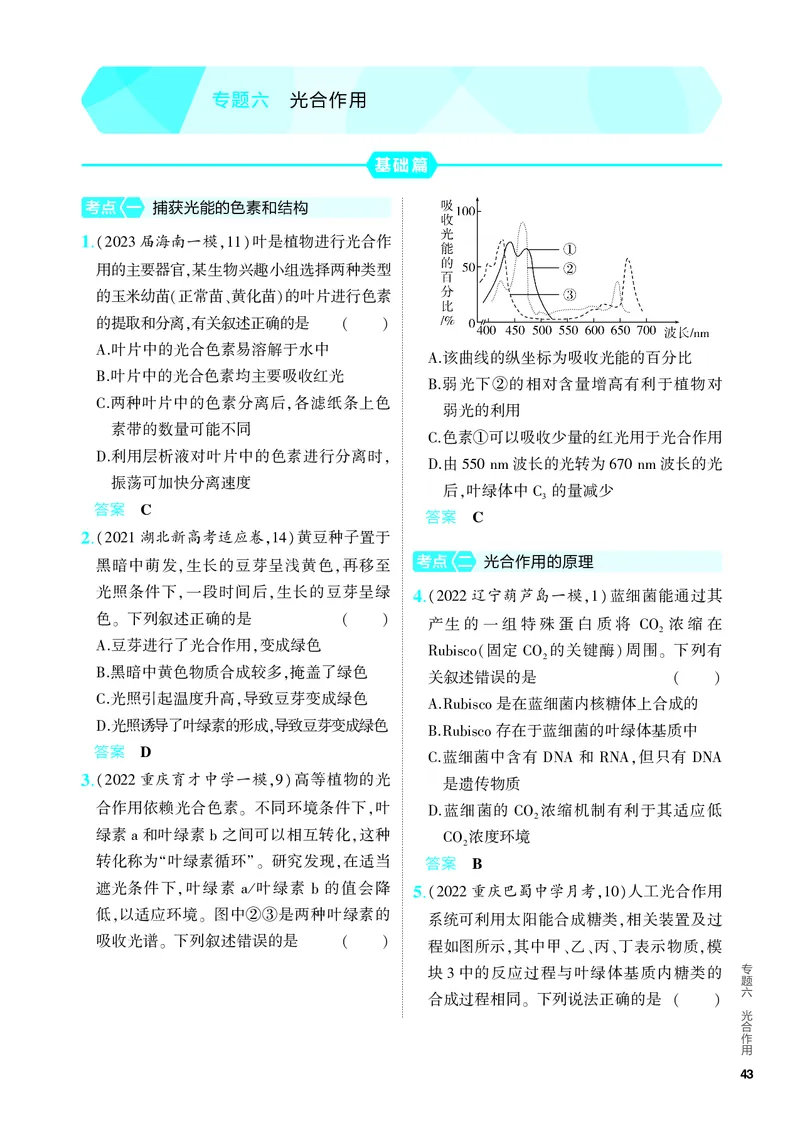 《1_06-专题六　光合作用（教参电子书—分层集训）_2024版教学资源包_2024版.新高考版生物.5·3A版_6_专题六光合作用_4_PDF教参电子书》第1页预览