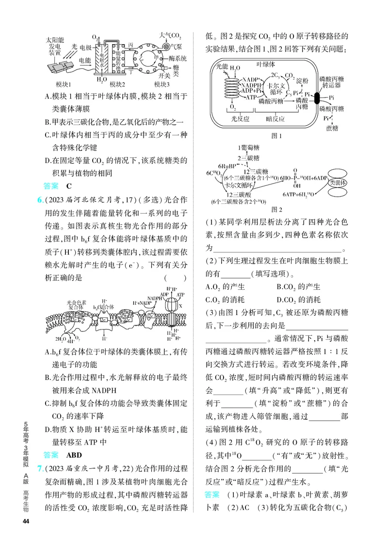 《1_06-专题六　光合作用（教参电子书—分层集训）_2024版教学资源包_2024版.新高考版生物.5·3A版_6_专题六光合作用_4_PDF教参电子书》第2页预览