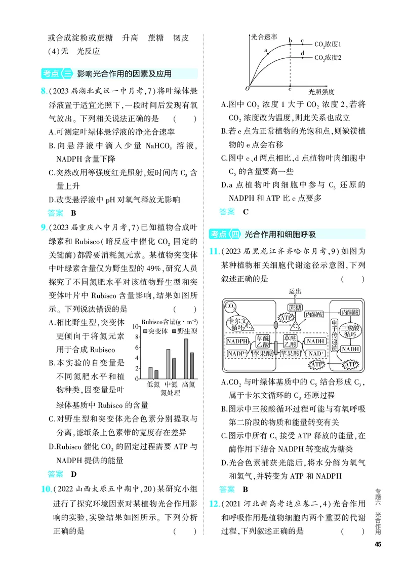 《1_06-专题六　光合作用（教参电子书—分层集训）_2024版教学资源包_2024版.新高考版生物.5·3A版_6_专题六光合作用_4_PDF教参电子书》第3页预览