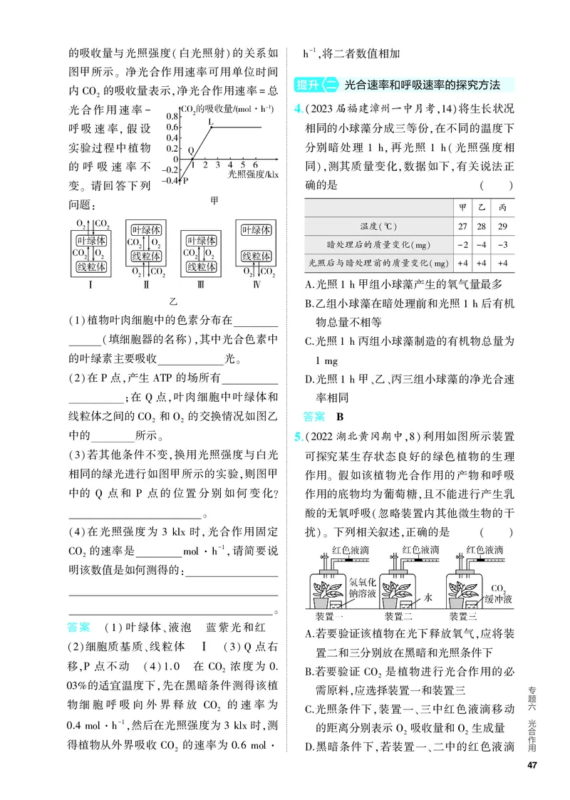 《1_06-专题六　光合作用（教参电子书—分层集训）_2024版教学资源包_2024版.新高考版生物.5·3A版_6_专题六光合作用_4_PDF教参电子书》第5页预览