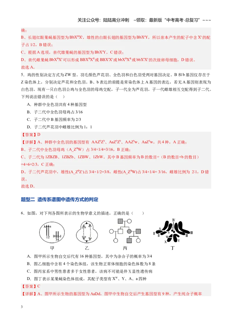 《第17讲伴性遗传和人类遗传病（专项训练）（四川专用）（教师版）_06-生物-高考总复习_一轮复习_2026年-生物高考一轮复习_2026年高考生物一轮课件+讲义+练习（四川专用）-G335》第3页预览