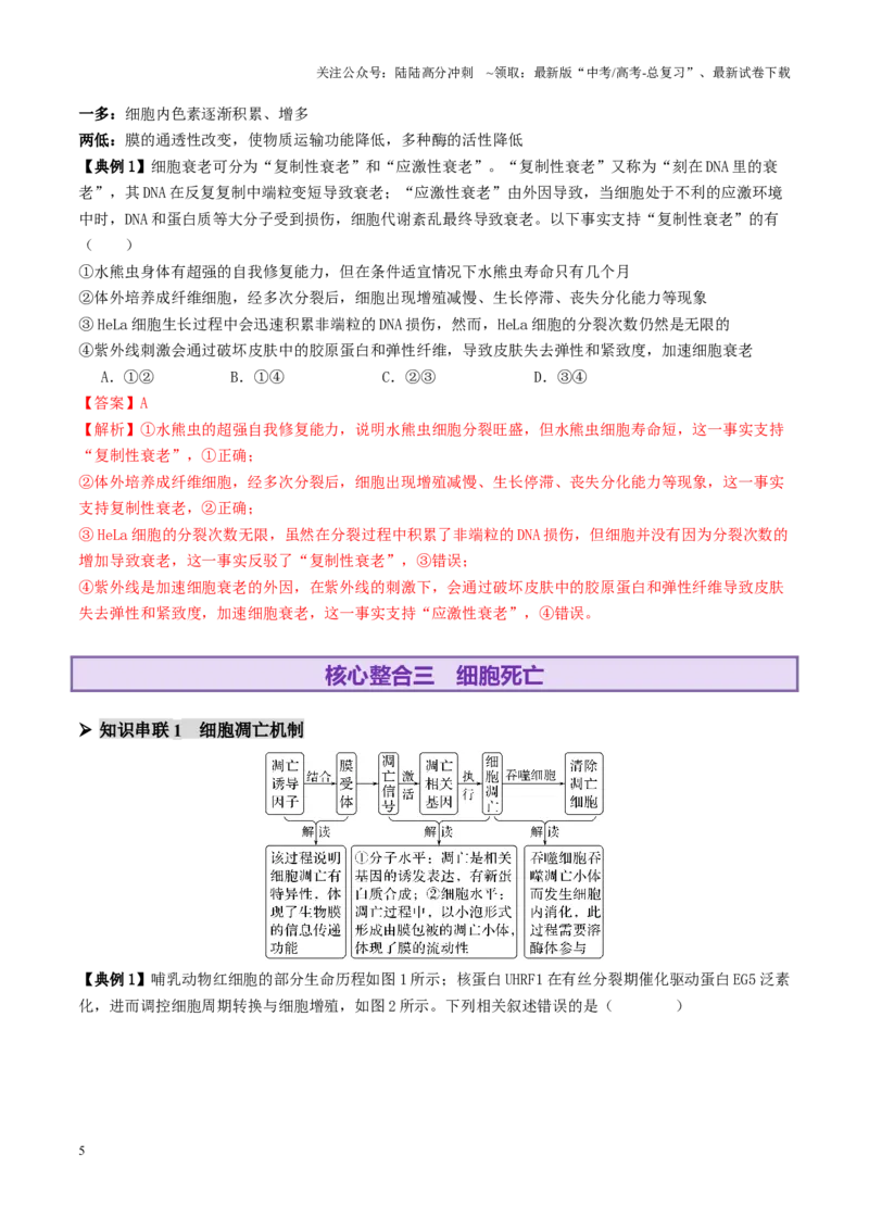 《第06讲细胞的分化、衰老、死亡和癌变（讲义）（教师版）_06-生物-高考总复习_二轮复习_2025年_2025年高考生物二轮复习课件+讲义+练习（新高考通用）》第5页预览