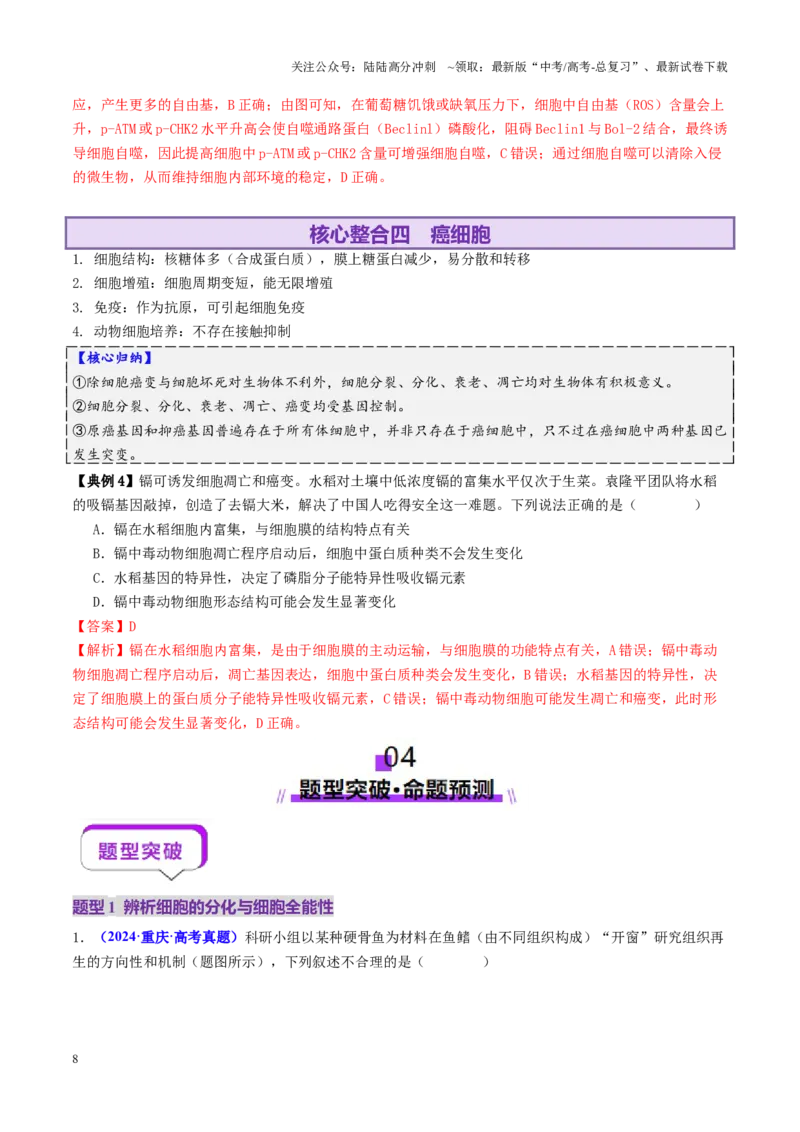 《第06讲细胞的分化、衰老、死亡和癌变（讲义）（教师版）_06-生物-高考总复习_二轮复习_2025年_2025年高考生物二轮复习课件+讲义+练习（新高考通用）》第8页预览