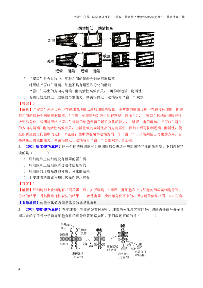 《第06讲细胞的分化、衰老、死亡和癌变（讲义）（教师版）_06-生物-高考总复习_二轮复习_2025年_2025年高考生物二轮复习课件+讲义+练习（新高考通用）》第9页预览