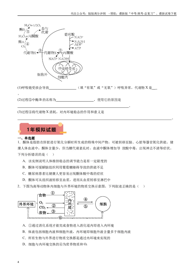 《专题16内环境及其稳态（原卷版）_06-生物-高考总复习_专项复习_2024年_2024年新高考生物复习热点考点真题模拟题必刷题练_资料》第4页预览