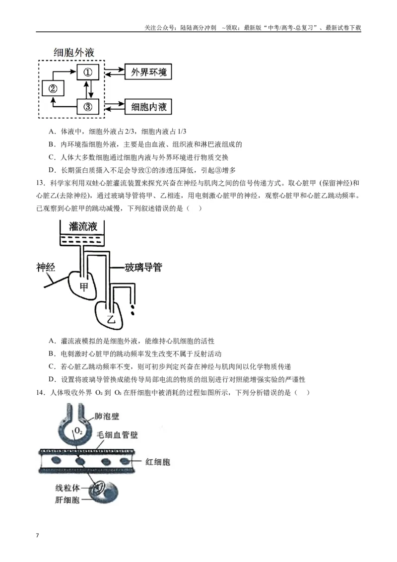 《专题16内环境及其稳态（原卷版）_06-生物-高考总复习_专项复习_2024年_2024年新高考生物复习热点考点真题模拟题必刷题练_资料》第7页预览