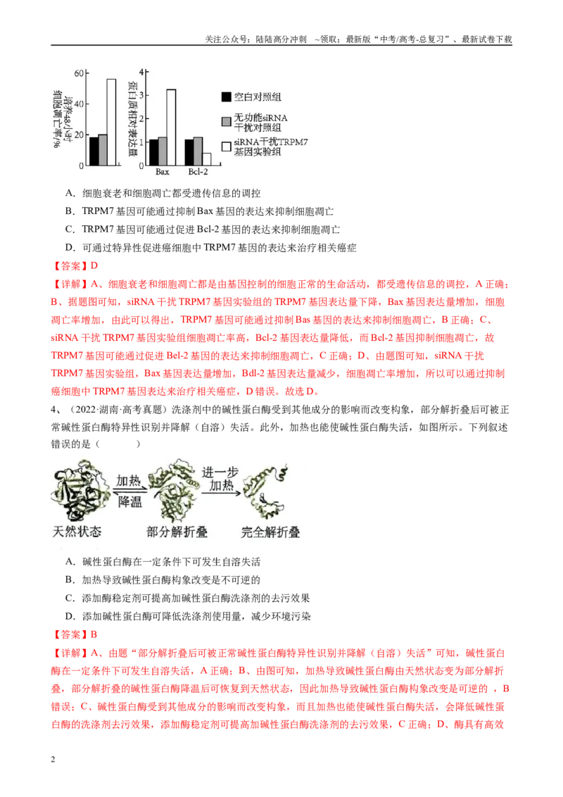 《真题重组卷01（江西卷）（解析版）_06-生物-高考总复习_二轮复习_2024年_2024年高考生物真题重组卷二模（新高考七省专用》第2页预览