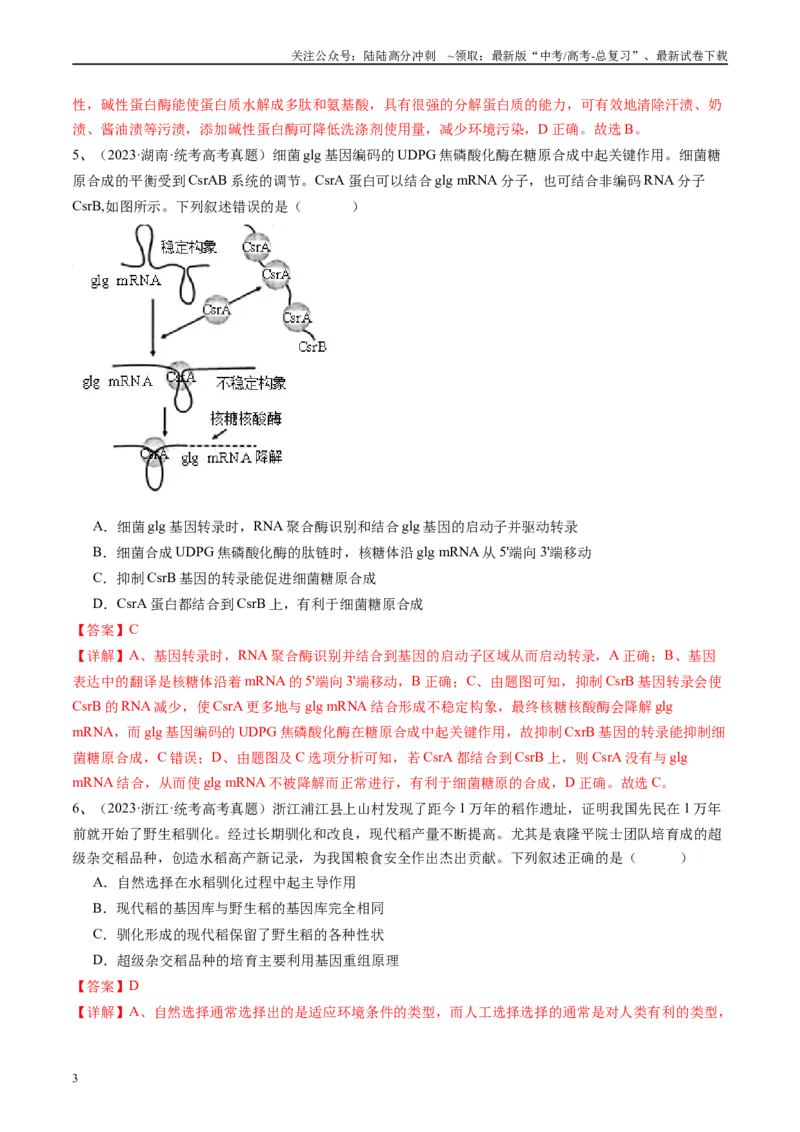 《真题重组卷01（江西卷）（解析版）_06-生物-高考总复习_二轮复习_2024年_2024年高考生物真题重组卷二模（新高考七省专用》第3页预览