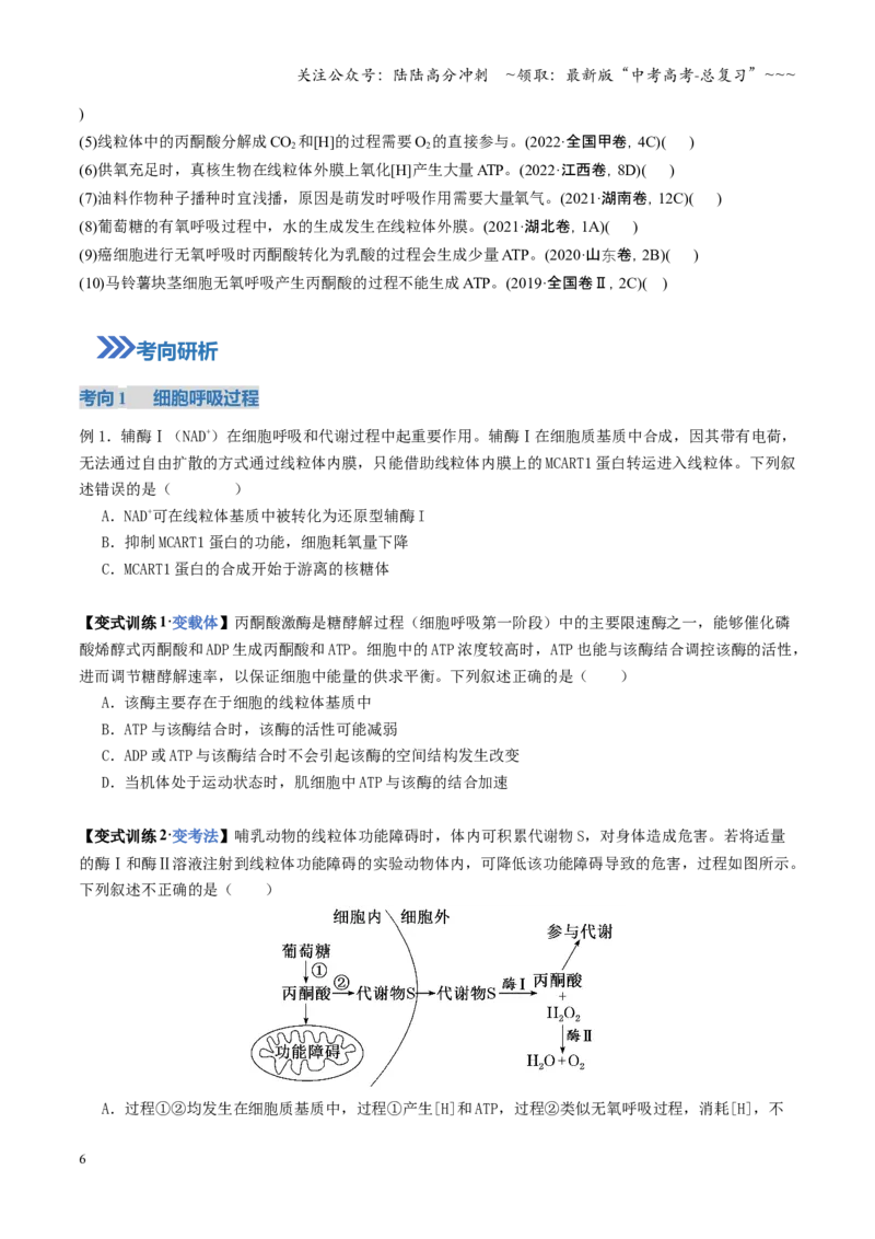《第09讲细胞呼吸（复习讲义）（全国通用）（学生版）_06-生物-高考总复习_一轮复习_2026年-生物高考一轮复习_2026年高考生物一轮复习讲义+练习+课件（新教材新高考）-G55_2026版》第6页预览
