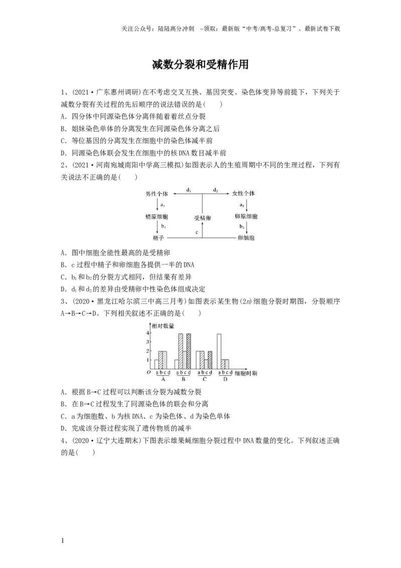 《专题12减数分裂和受精作用（精练）（原卷版）_06-生物-高考总复习_一轮复习_2024年_2024年高考生物一轮复习串讲精练知识点梳理练习题_精练》第1页预览