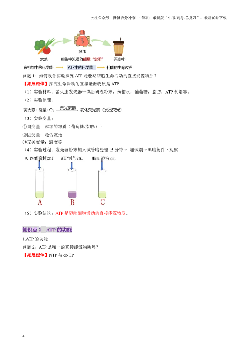 《第08讲酶和ATP（第二课时）（讲义）（教师版）_06-生物-高考总复习_一轮复习_2025年_2025年新高考生物一轮复习讲义PPT知识点习题训_资料_第三单元细胞的能量供应和利用》第4页预览