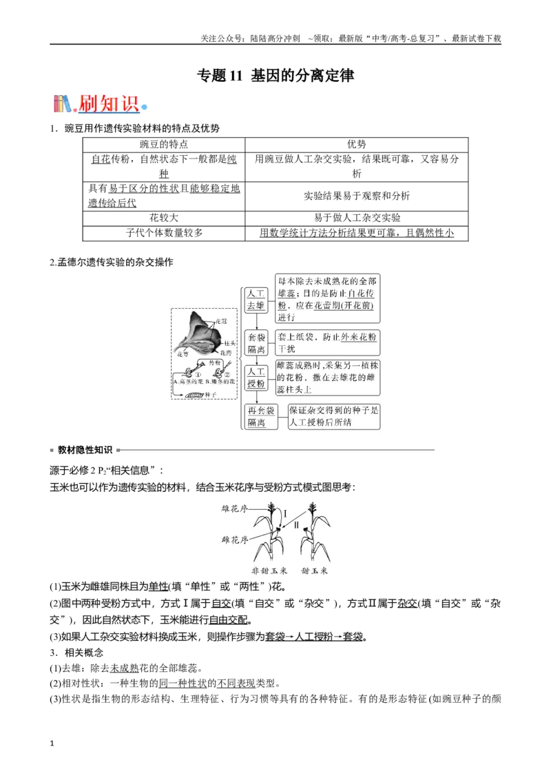 《专题11基因的分离定律（原卷版）_06-生物-高考总复习_专项复习_2024年_2024年高考生物经典小题必刷_资料》第1页预览