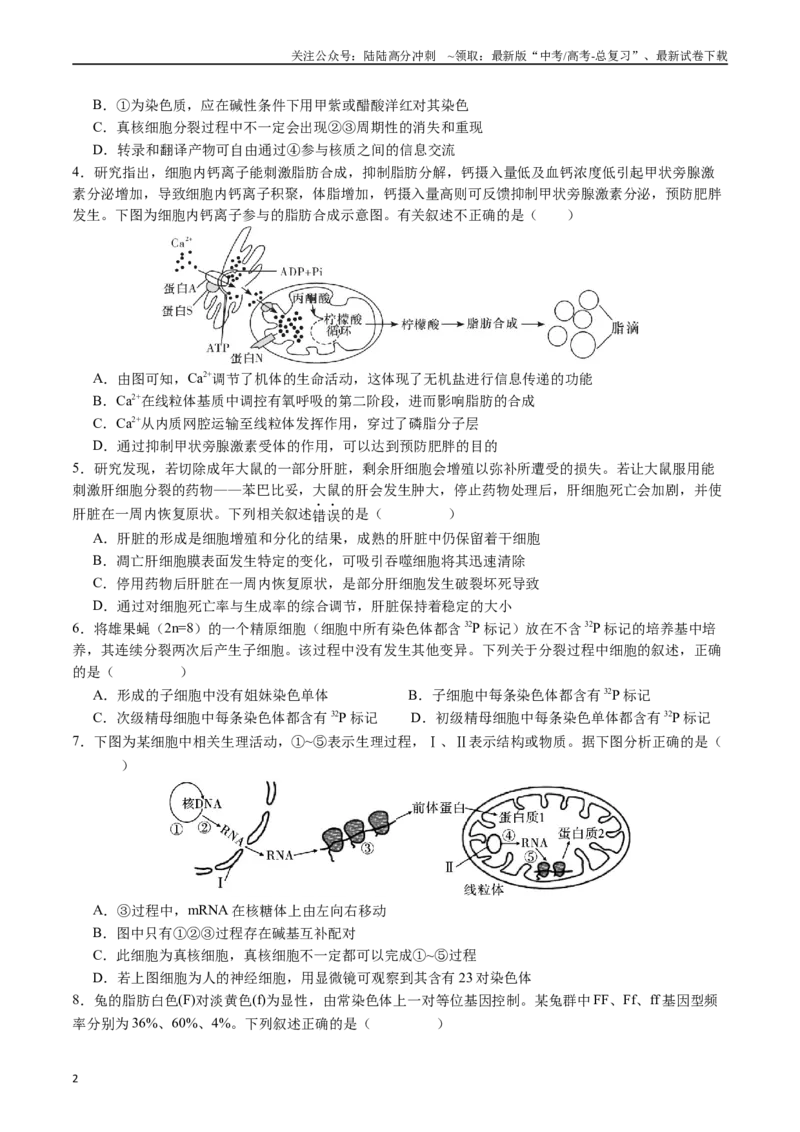 《生物（贵州、安徽、甘肃适用，16+5题型）（考试版）A4_06-生物-高考总复习_专项复习_2024年_2024高考生物1月九省联考猜想卷真题汇编完全解读_2024年1月“九省联考”生物考前猜想卷》第2页预览