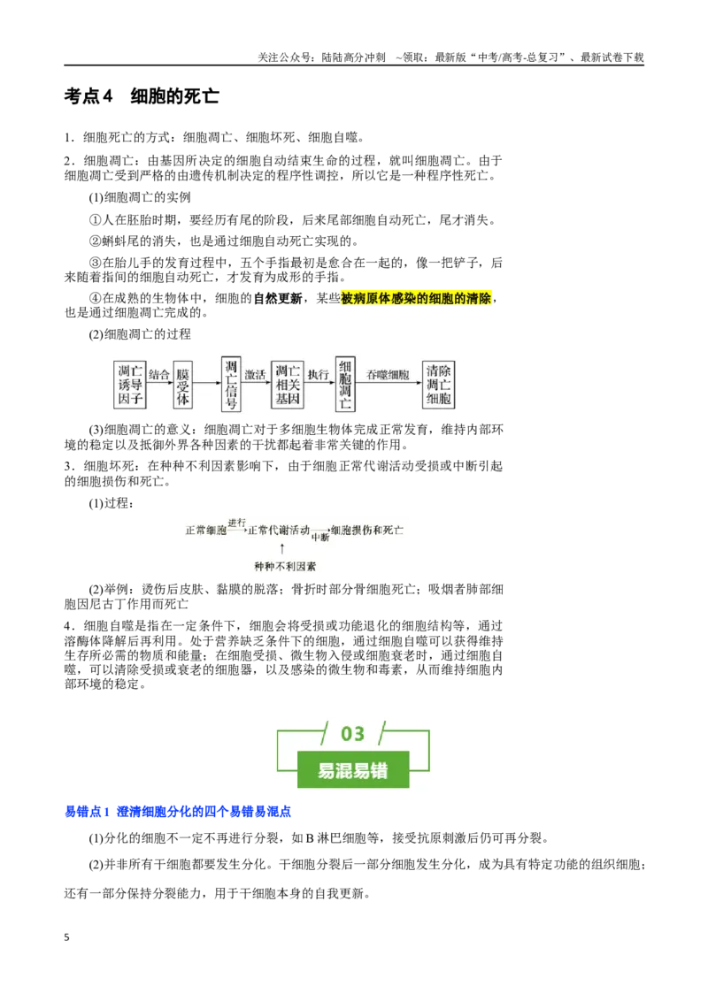 《知识清单09细胞的分化、衰老和死亡（4大考点+5个易错点）_06-生物-高考总复习_一轮复习_2025年_2025年高考生物一轮复习知识清单（全国通用）》第5页预览