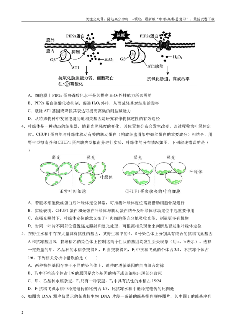 《生物（湖南卷）（考试版）_06-生物-高考总复习_专项复习_2025年_2025年高考第一二三次模拟卷（多地区）生物_2025年高考生物第二次模拟卷26套_生物（湖南卷）》第2页预览