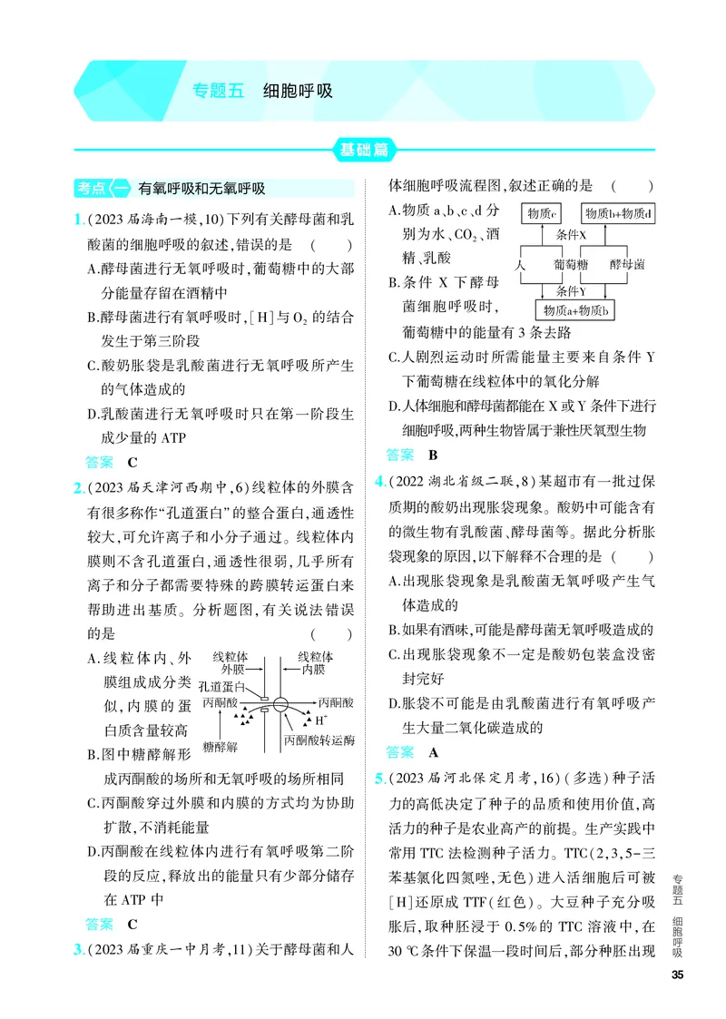 《1_05-专题五　细胞呼吸（教参电子书—分层集训）_2024版教学资源包_2024版.新高考版生物.5·3A版_5_专题五细胞呼吸_4_PDF教参电子书》第1页预览