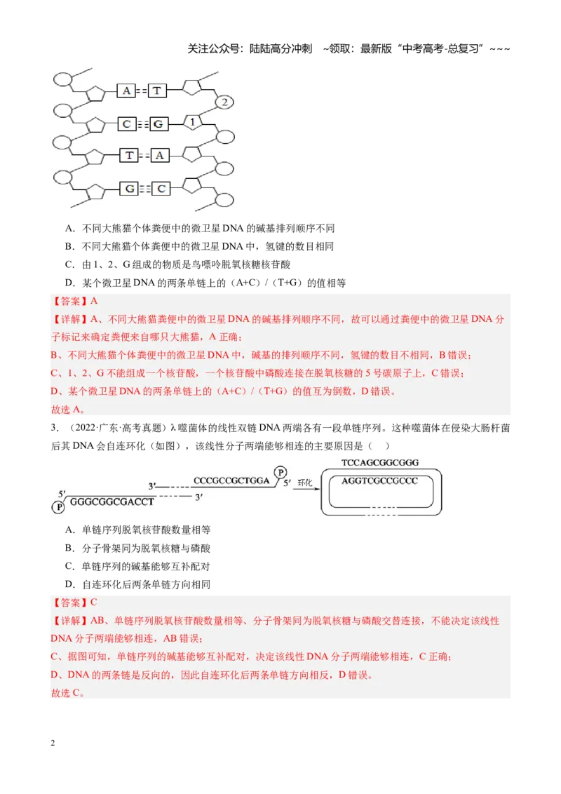 《第21讲DNA分子的结构、复制与基因的本质（专项训练）（安徽专用）（教师版）_06-生物-高考总复习_一轮复习_2026年-生物高考一轮复习_2026年高考生物一轮课件+讲义+练习（安徽专用）-G326_3》第2页预览