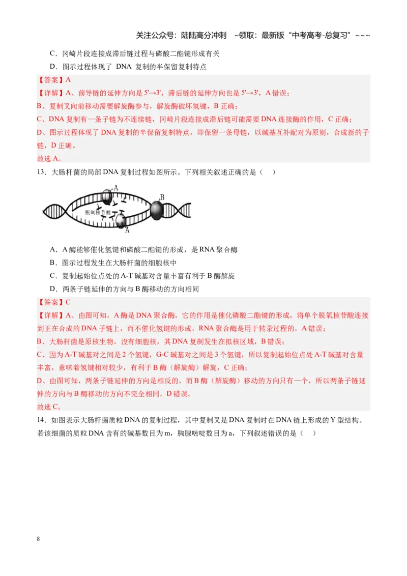 《第21讲DNA分子的结构、复制与基因的本质（专项训练）（安徽专用）（教师版）_06-生物-高考总复习_一轮复习_2026年-生物高考一轮复习_2026年高考生物一轮课件+讲义+练习（安徽专用）-G326_3》第8页预览