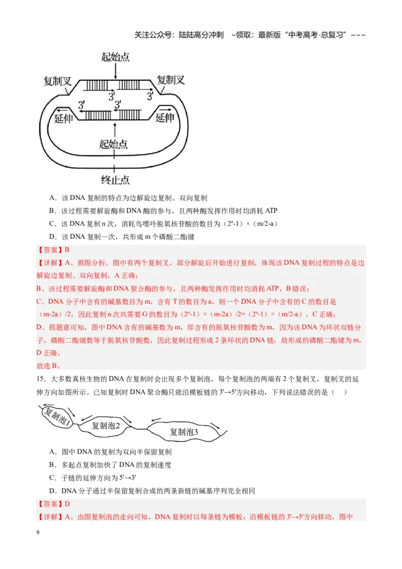 《第21讲DNA分子的结构、复制与基因的本质（专项训练）（安徽专用）（教师版）_06-生物-高考总复习_一轮复习_2026年-生物高考一轮复习_2026年高考生物一轮课件+讲义+练习（安徽专用）-G326_3》第9页预览