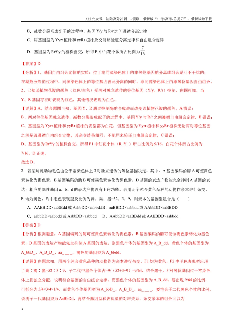 《专题17自由组合（解析版)_06-生物-高考总复习_一轮复习_2024年_2024年高考生物一轮复习重难点专项突破_资料》第3页预览