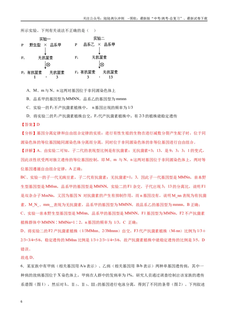 《专题17自由组合（解析版)_06-生物-高考总复习_一轮复习_2024年_2024年高考生物一轮复习重难点专项突破_资料》第6页预览