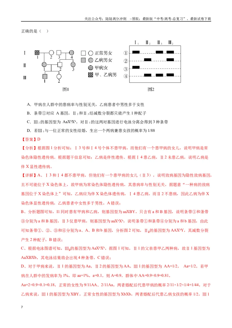 《专题17自由组合（解析版)_06-生物-高考总复习_一轮复习_2024年_2024年高考生物一轮复习重难点专项突破_资料》第7页预览