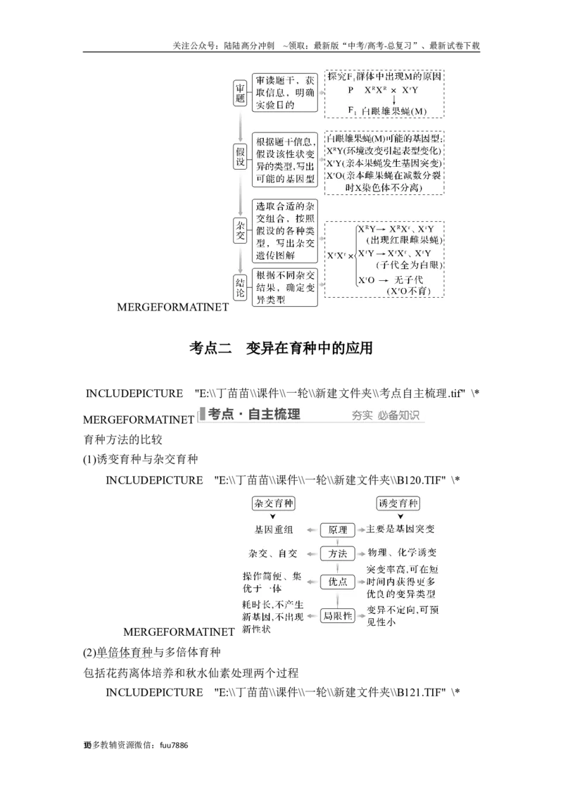 《第20讲染色体变异_06-生物-高考总复习_一轮复习_2024年_2024高考生物大一轮复习课件讲义新人教版知识总结_2024年高考生物一轮复习讲义（新人教版）_另赠1套Word版题库_必修2》第10页预览