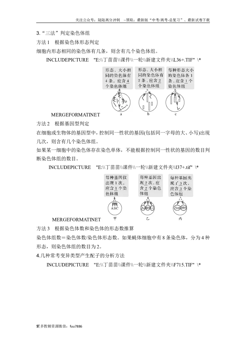 《第20讲染色体变异_06-生物-高考总复习_一轮复习_2024年_2024高考生物大一轮复习课件讲义新人教版知识总结_2024年高考生物一轮复习讲义（新人教版）_另赠1套Word版题库_必修2》第5页预览