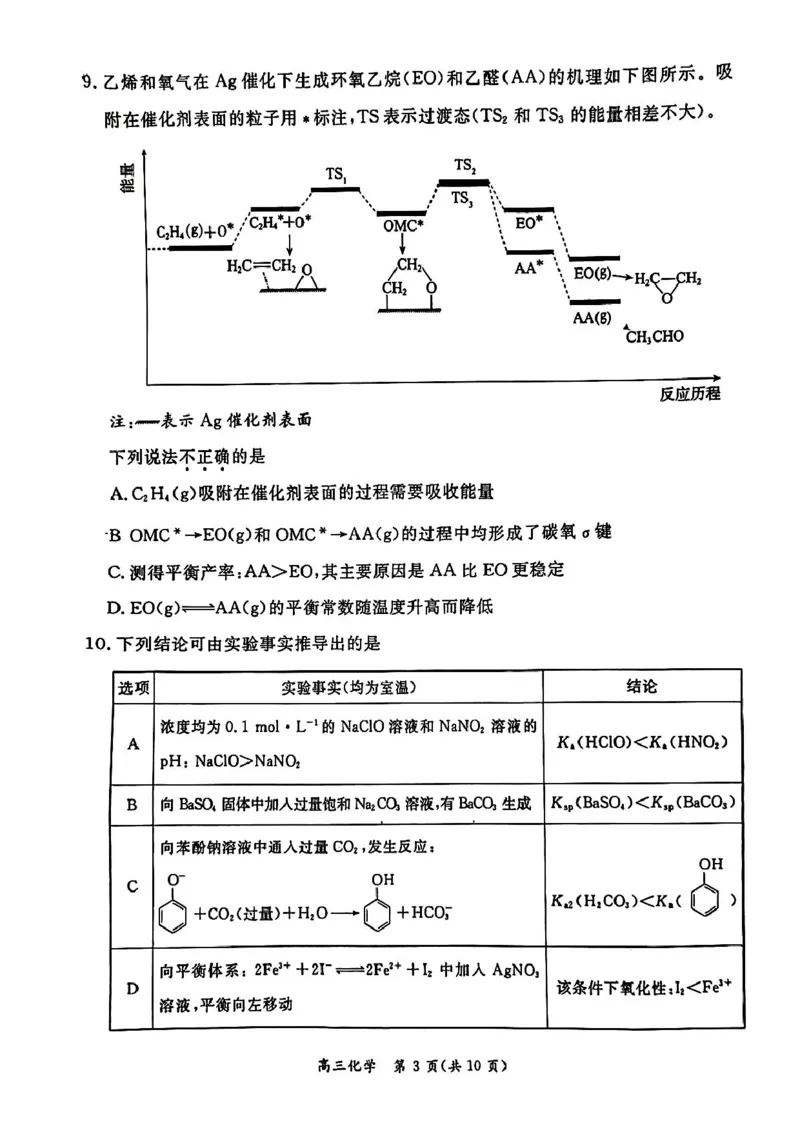 《10_05化学北京东城区（期末）试卷+标答评分细则_2025版教学资源包_（总复习系列）2025版《5年高考3年模拟》新高考版B版（⭐全科）_2025版.新高考新教材版.选考总复习.化学.5·3B版》第3页预览