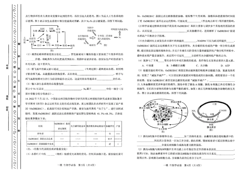 《11_2024天津市河东一模（试卷+答案）_2025版教学资源包_（总复习系列）2025版《5年高考3年模拟》新高考版B版（⭐全科）_2025版.新高考新教材版.选考总复习.生物.5·3B版_1_资源拓展》第3页预览