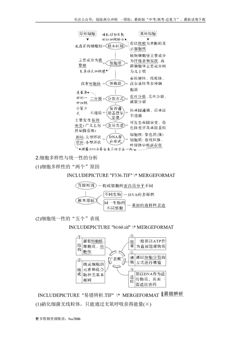《第1讲借助显微镜走近细胞_06-生物-高考总复习_一轮复习_2024年_2024高考生物大一轮复习课件讲义新人教版知识总结_2024年高考生物一轮复习讲义（新人教版）_另赠1套Word版题库_必修1》第9页预览