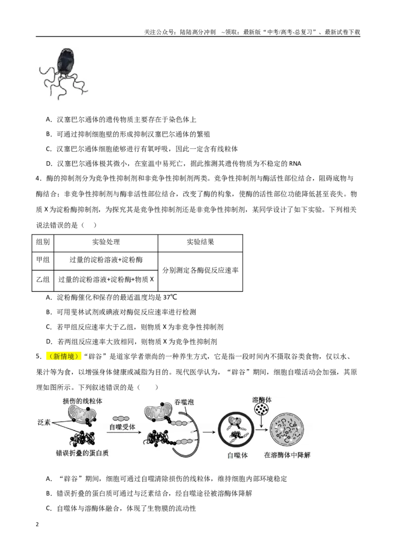 《生物（河北卷03）（考试版）_06-生物-高考总复习_专项复习_2025年_2025年高考押题预测卷（多地区）生物》第2页预览