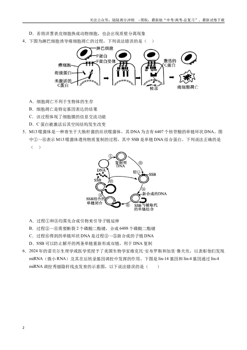 《生物（重庆卷）（考试版）_06-生物-高考总复习_专项复习_2025年_2025年高考第一二三次模拟卷（多地区）生物_2025年高考生物第三次模拟考试21套_生物（重庆卷）》第2页预览