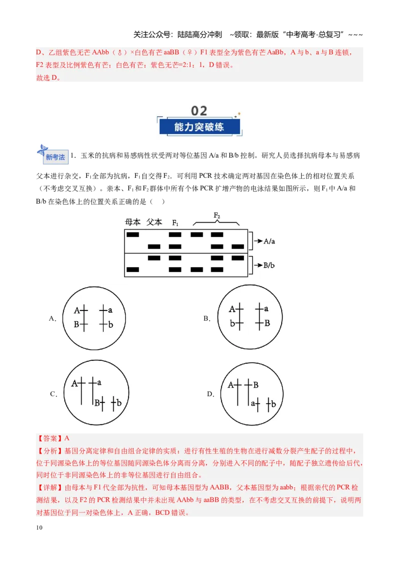 《第17讲自由组合定律（专项训练）（安徽专用）（教师版）_06-生物-高考总复习_一轮复习_2026年-生物高考一轮复习_2026年高考生物一轮课件+讲义+练习（安徽专用）-G326》第10页预览