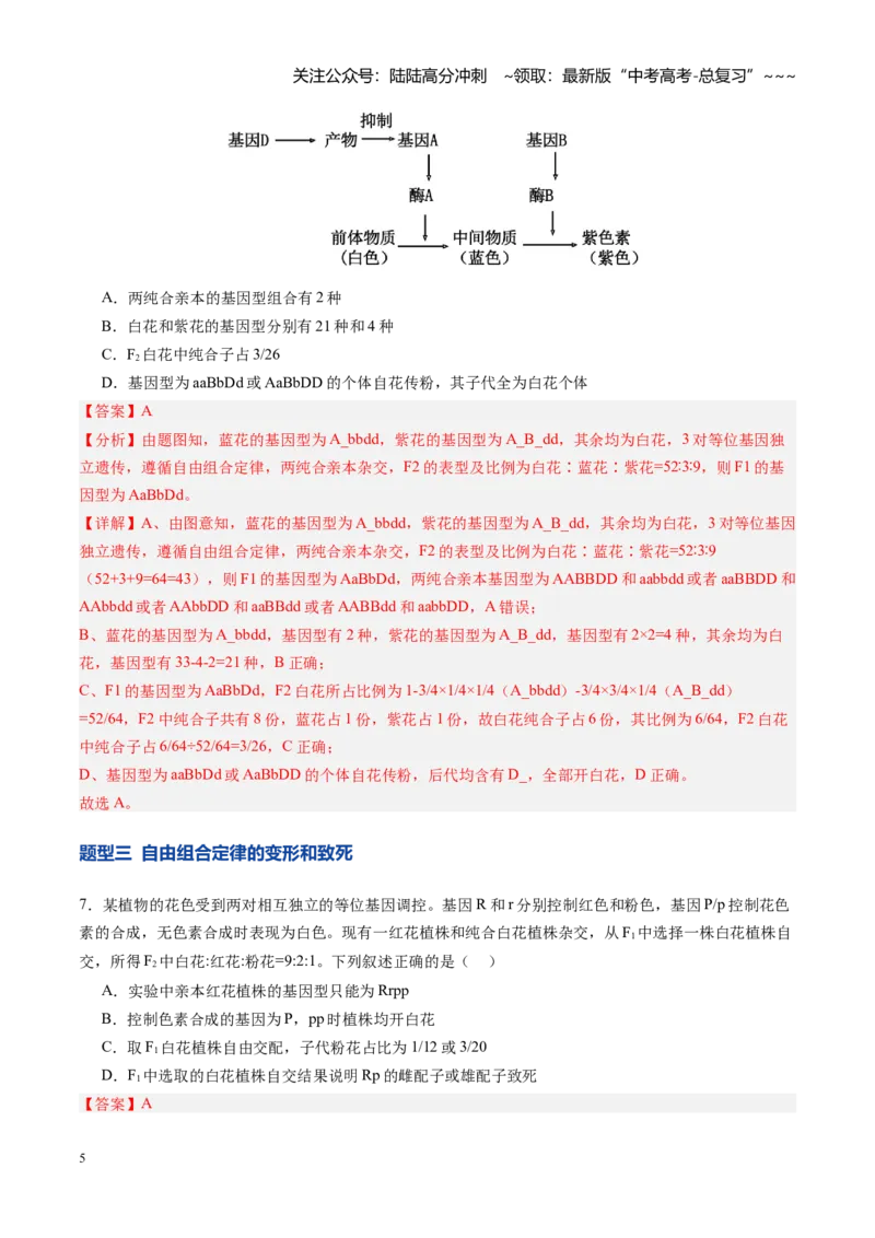 《第17讲自由组合定律（专项训练）（安徽专用）（教师版）_06-生物-高考总复习_一轮复习_2026年-生物高考一轮复习_2026年高考生物一轮课件+讲义+练习（安徽专用）-G326》第5页预览